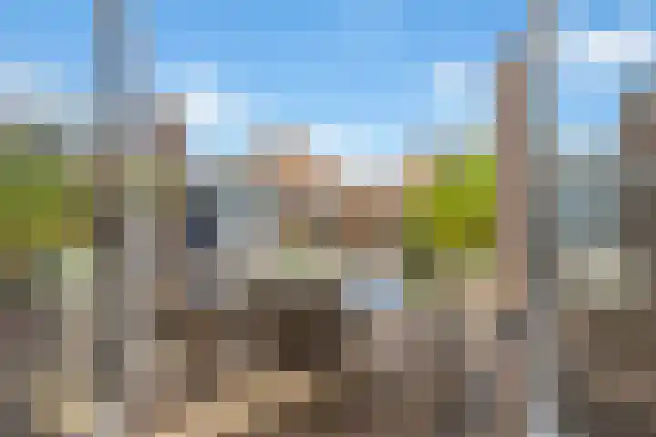Het Loeg 35 Muntendam thumbnail 33