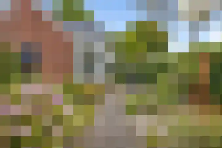 Het Loeg 35 Muntendam thumbnail 34