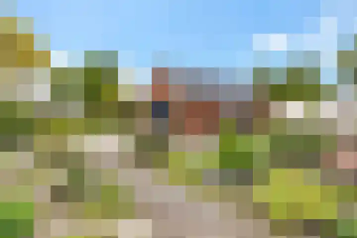 Het Loeg 35 Muntendam thumbnail 36