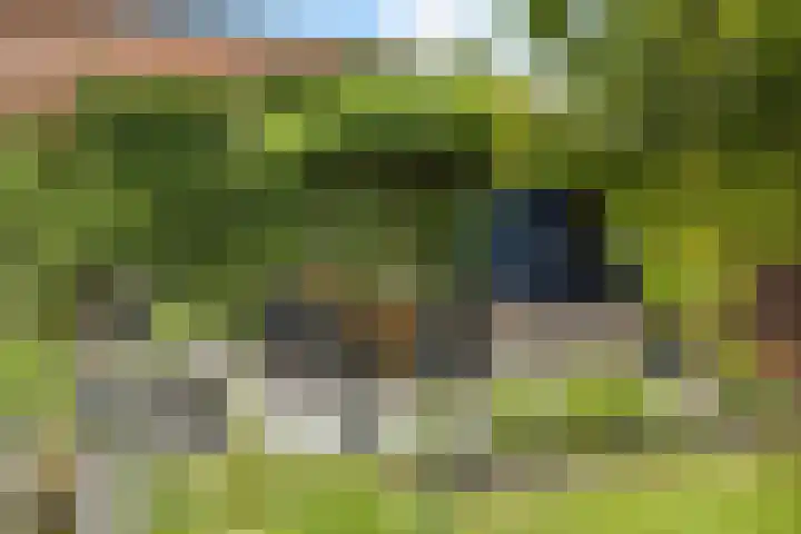 Het Loeg 35 Muntendam thumbnail 38