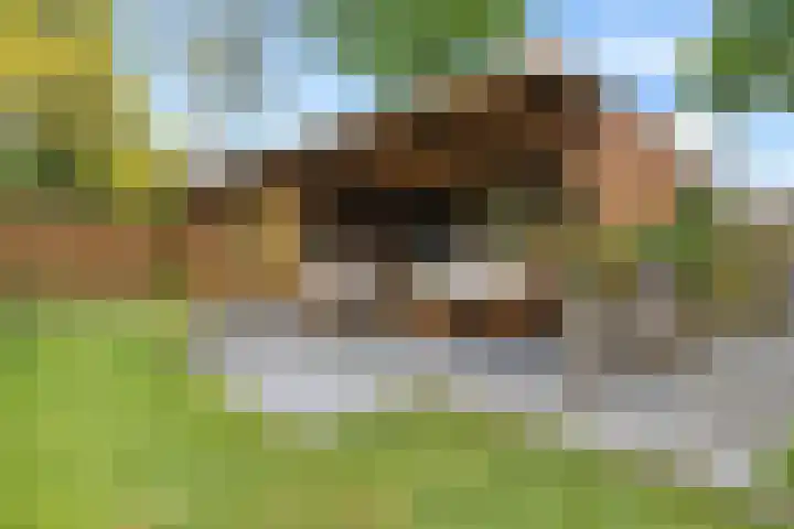 Het Loeg 35 Muntendam thumbnail 40