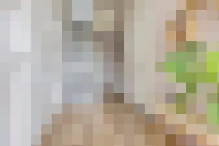 Het Loeg 35 Muntendam thumbnail 8
