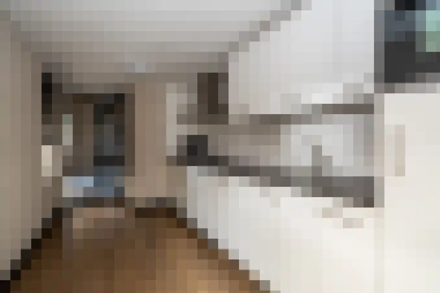 Het Loeg 40 Muntendam thumbnail 12
