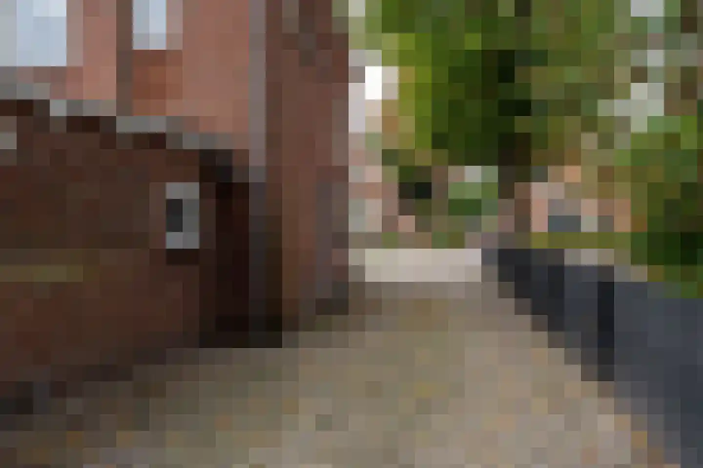 Het Loeg 40 Muntendam thumbnail 36
