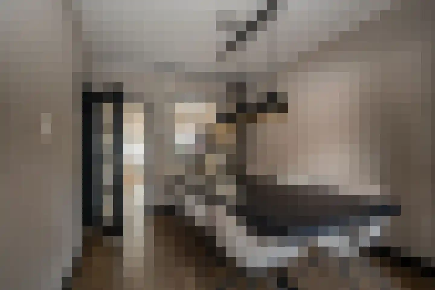 Het Loeg 40 Muntendam thumbnail 5