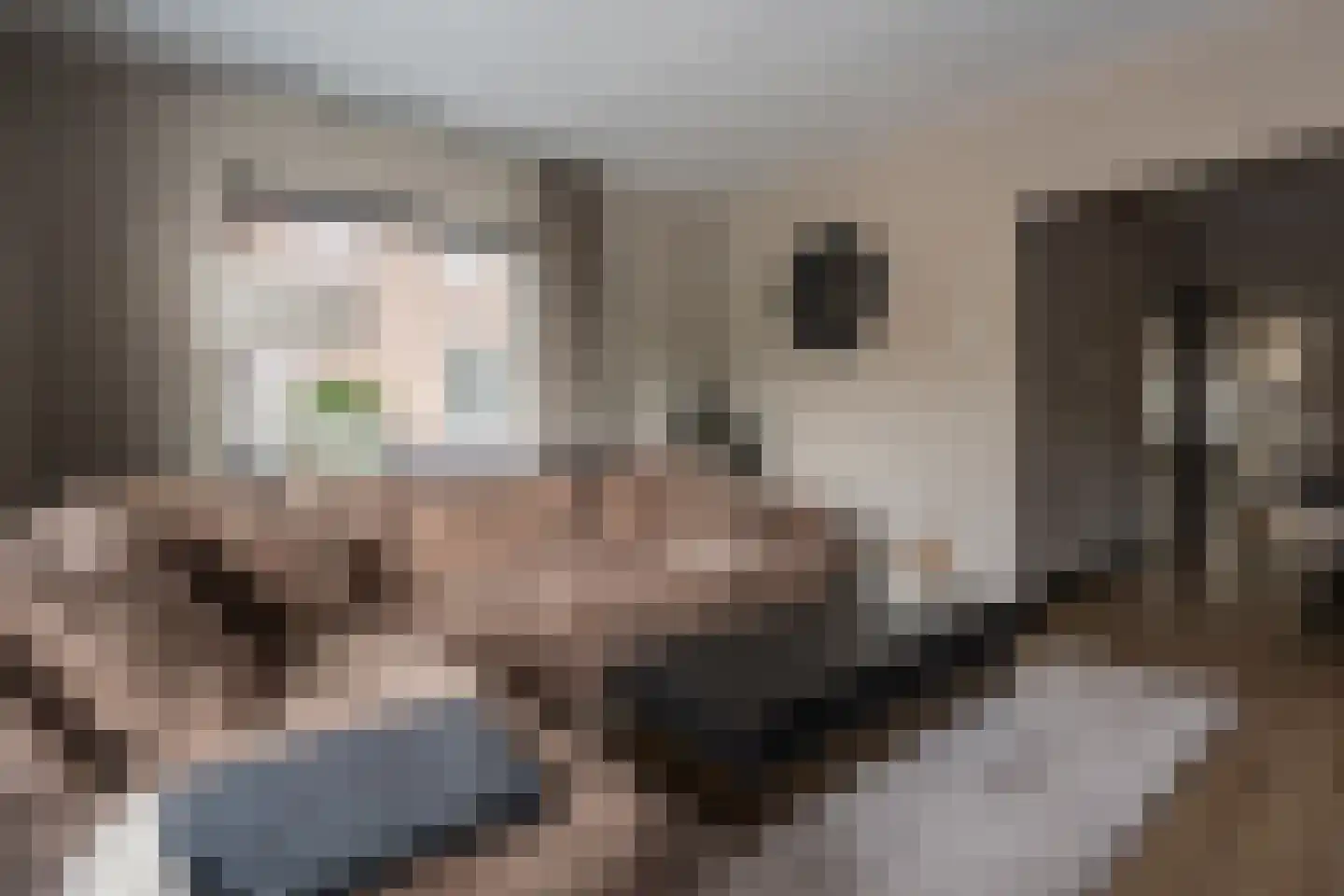 Het Loeg 40 Muntendam thumbnail 8