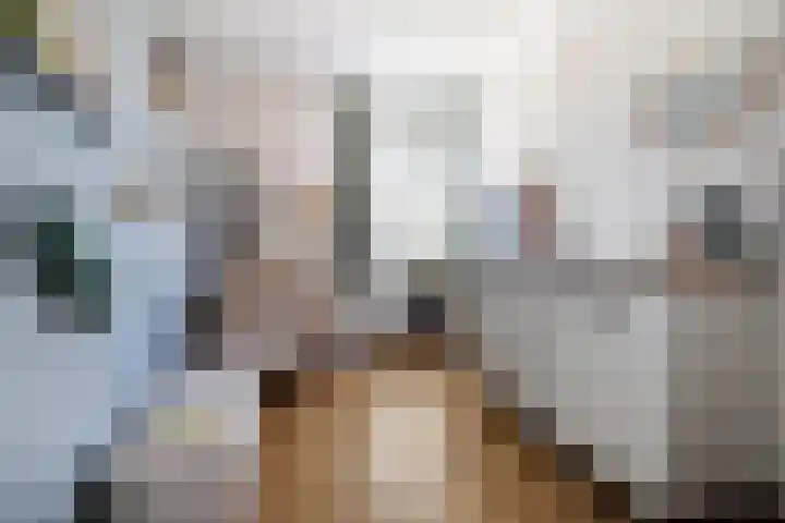 Het Logement 14 Marum thumbnail 28
