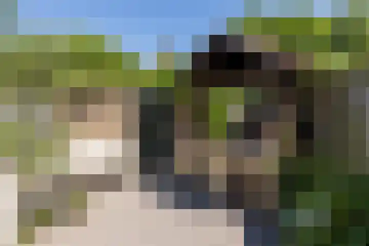 Het Lover 17 Veldhoven thumbnail 22