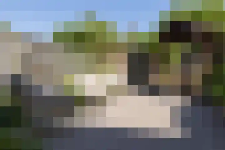Het Lover 17 Veldhoven thumbnail 24