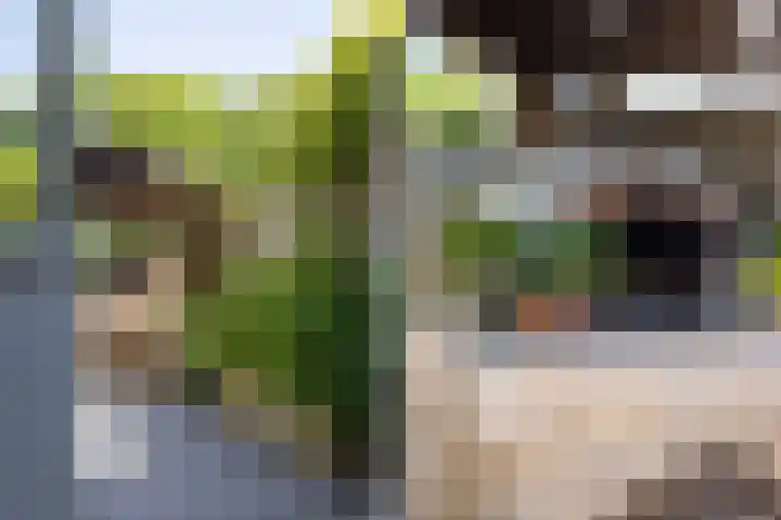 Het Lover 17 Veldhoven thumbnail 25