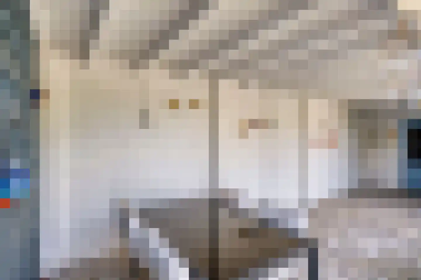 Het Lover 27 Veldhoven thumbnail 32
