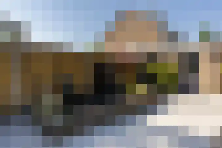 Het Lover 31 Veldhoven thumbnail 33
