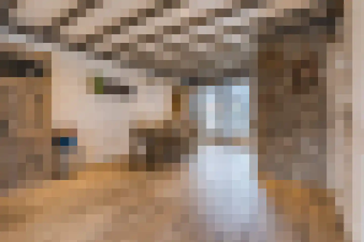 Het Lover 64 Veldhoven thumbnail 8