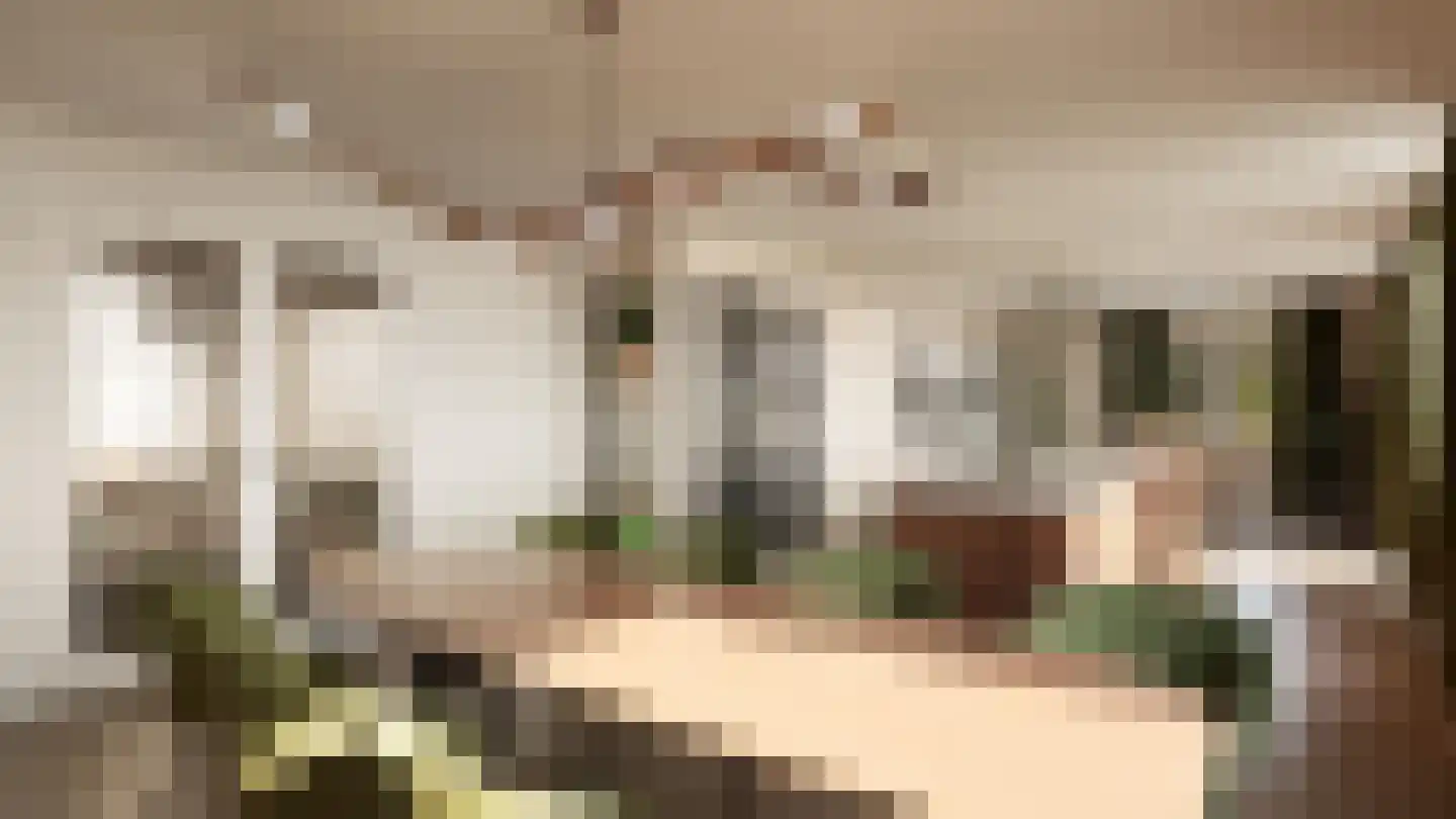 Het Maalwater 3 d Heiloo thumbnail 11