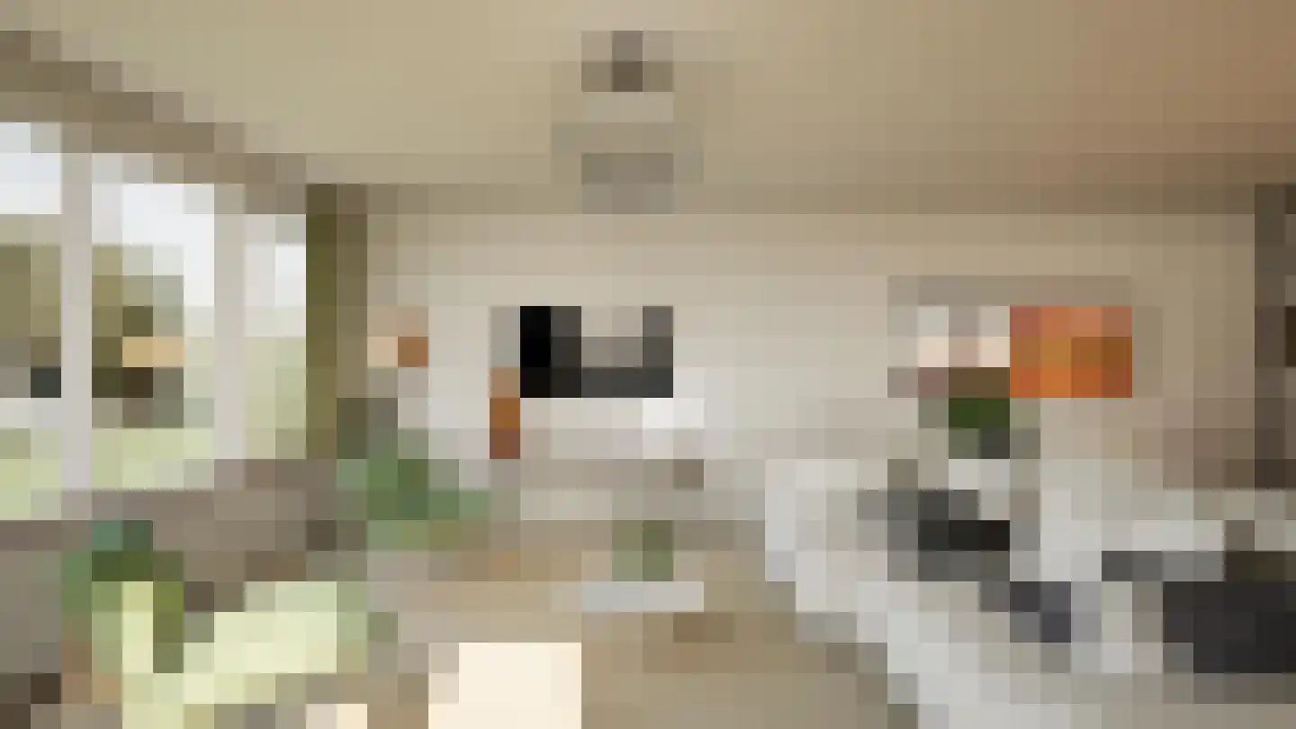 Het Maalwater 3 d Heiloo thumbnail 15