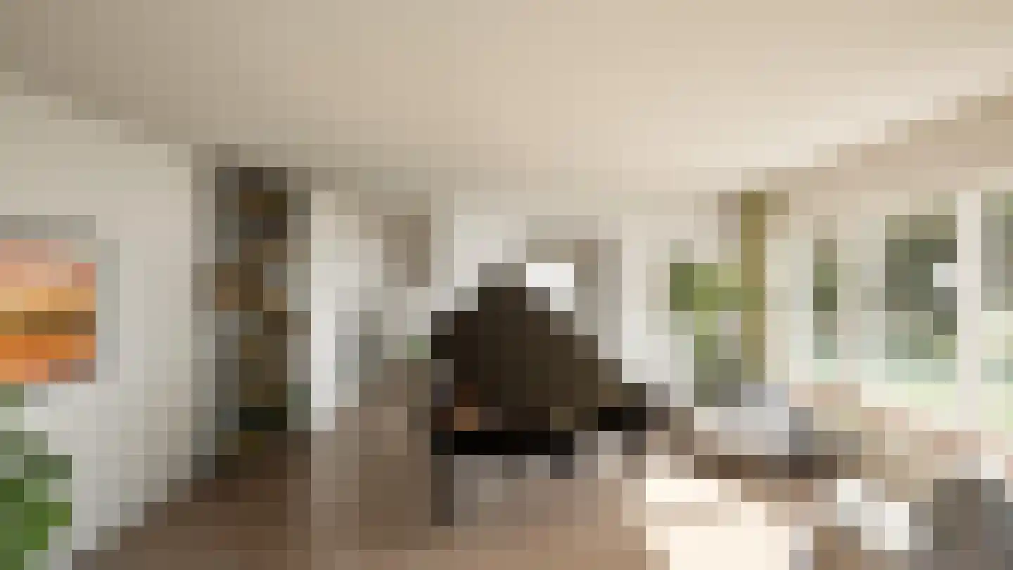 Het Maalwater 3 d Heiloo thumbnail 17