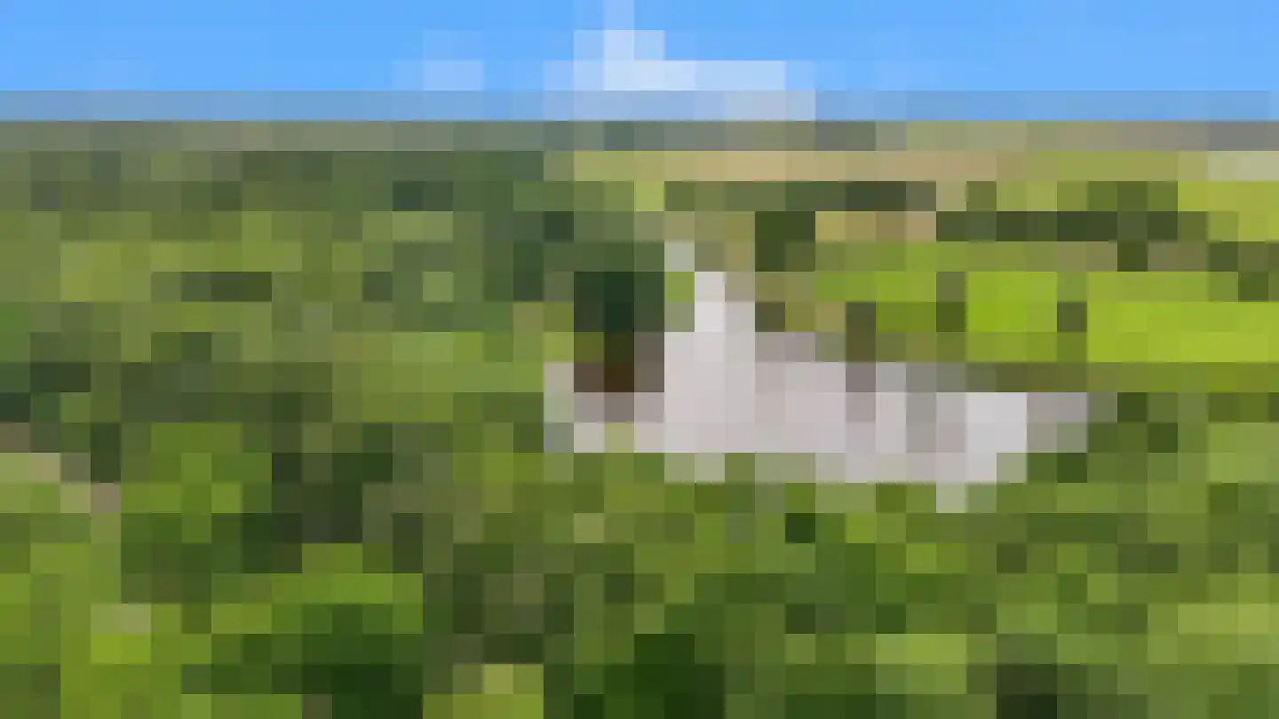 Het Maalwater 3 d Heiloo thumbnail 30