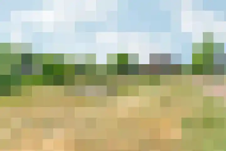 Het Maisveld 86 Arnhem thumbnail 40