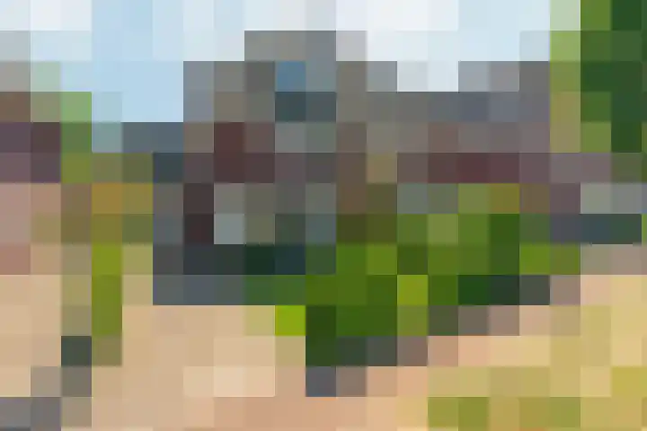 Het Maisveld 86 Arnhem thumbnail 45