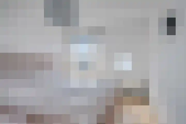 Het Masker 244 Amersfoort thumbnail 13