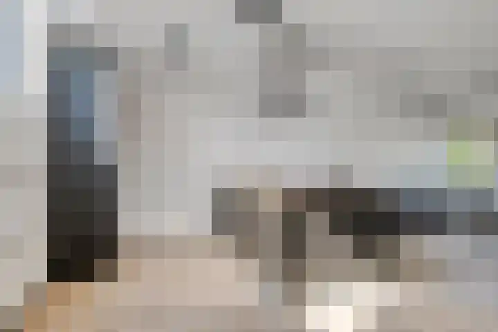 Het Masker 244 Amersfoort thumbnail 8