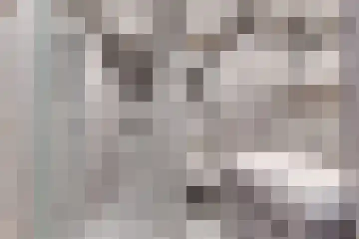 het Mat 7 Broek op Langedijk thumbnail 22