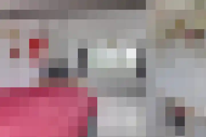 het Mat 7 Broek op Langedijk thumbnail 27
