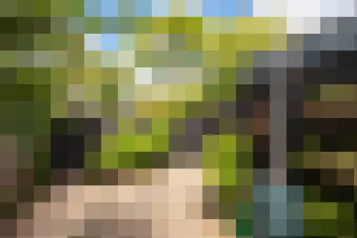het Mat 7 Broek op Langedijk thumbnail 29