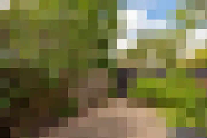 het Mat 7 Broek op Langedijk thumbnail 30