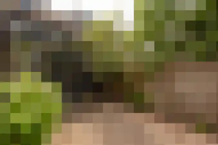 het Mat 7 Broek op Langedijk thumbnail 32