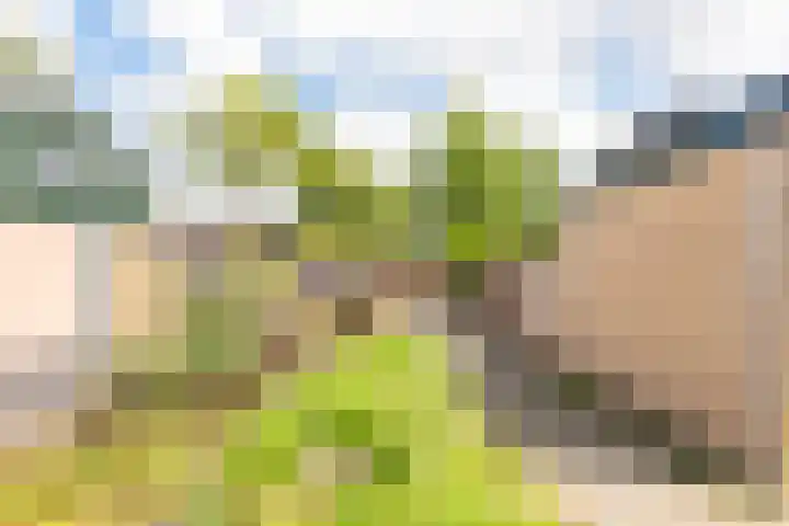 het Mat 7 Broek op Langedijk thumbnail 33