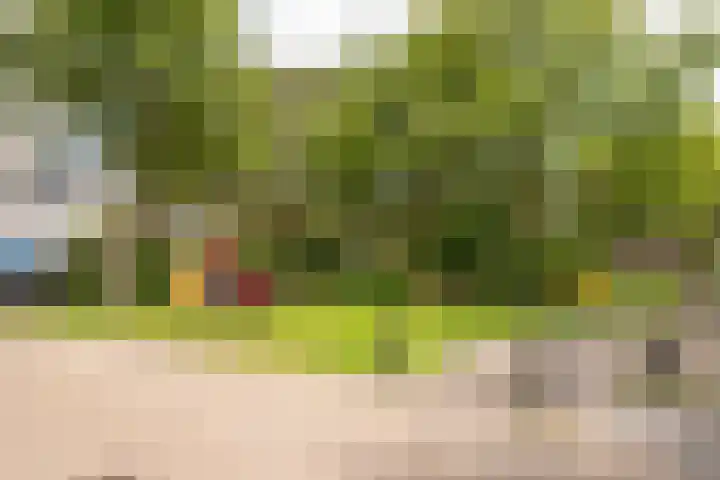 het Mat 7 Broek op Langedijk thumbnail 34