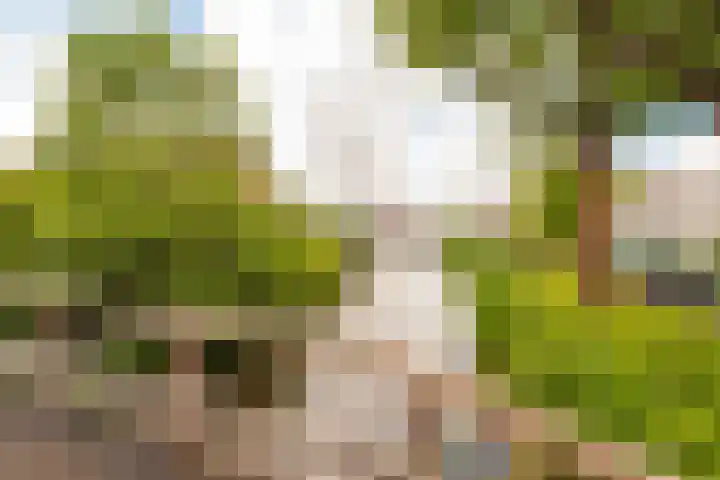 het Mat 7 Broek op Langedijk thumbnail 35
