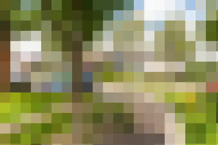 het Mat 7 Broek op Langedijk thumbnail 36