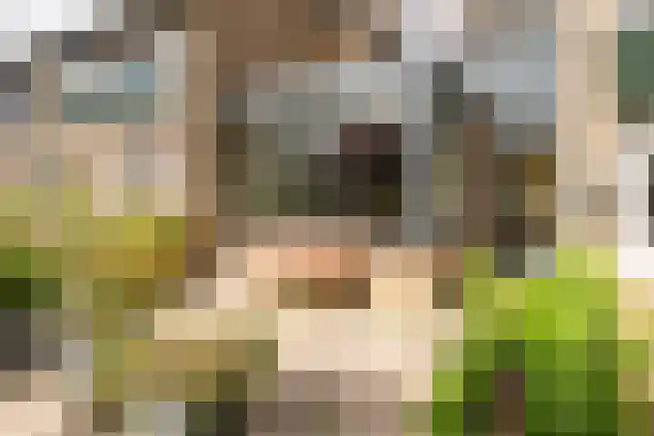 het Mat 7 Broek op Langedijk thumbnail 6