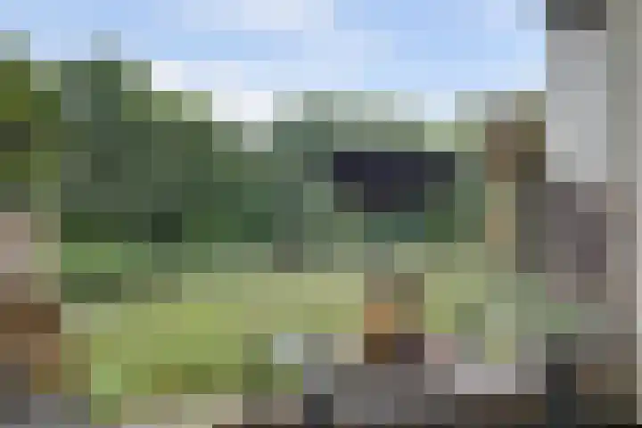 Het Mauritsveld 4 Doesburg thumbnail 11