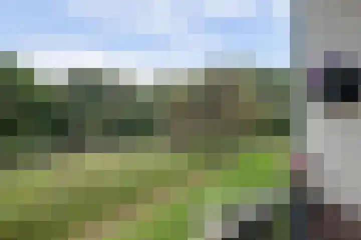 Het Mauritsveld 4 Doesburg thumbnail 14