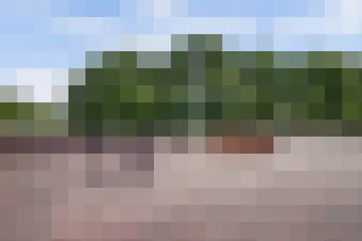 Het Mauritsveld 4 Doesburg thumbnail 40