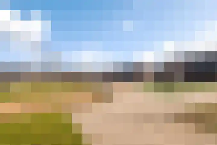 Het Melkmeisje 2 Dronten foto 2