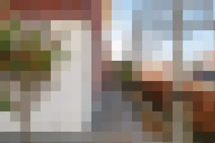 Het Melkmeisje 2 Dronten thumbnail 29