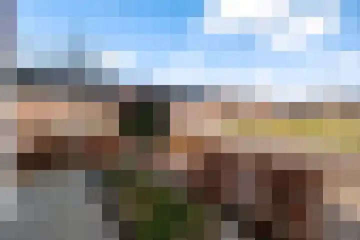 Het Melkmeisje 2 Dronten thumbnail 30