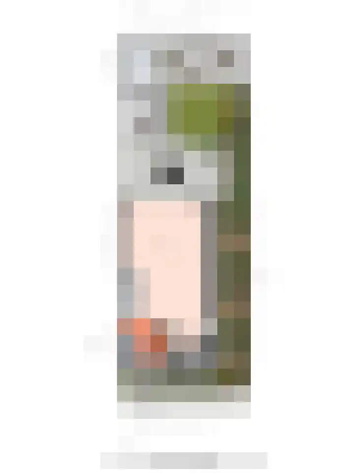 Het Melkmeisje 2 Dronten thumbnail 34