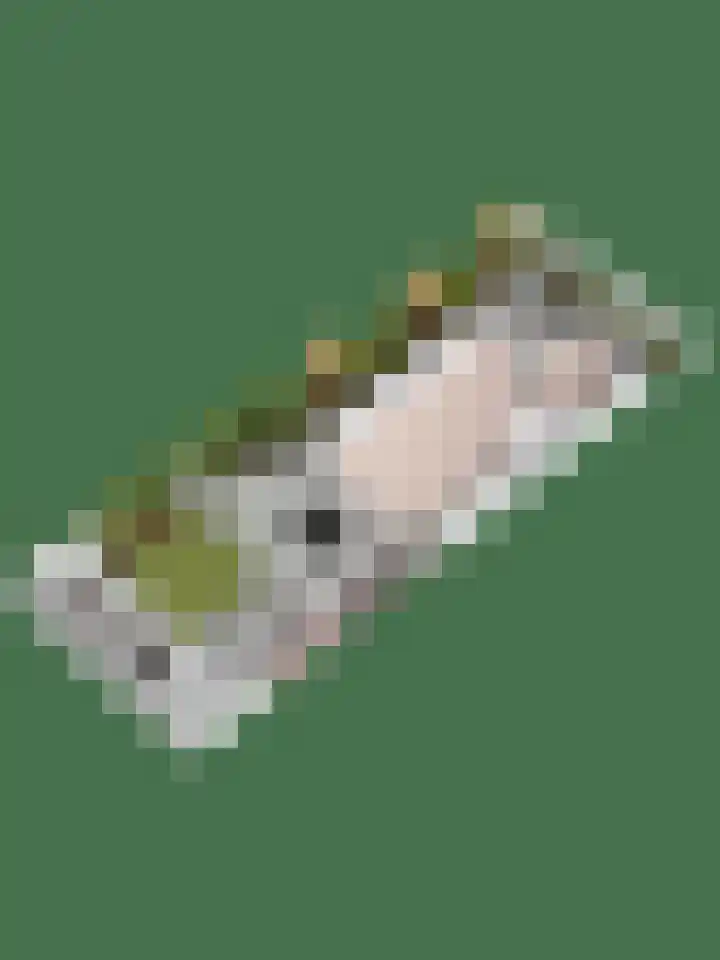 Het Melkmeisje 2 Dronten thumbnail 38