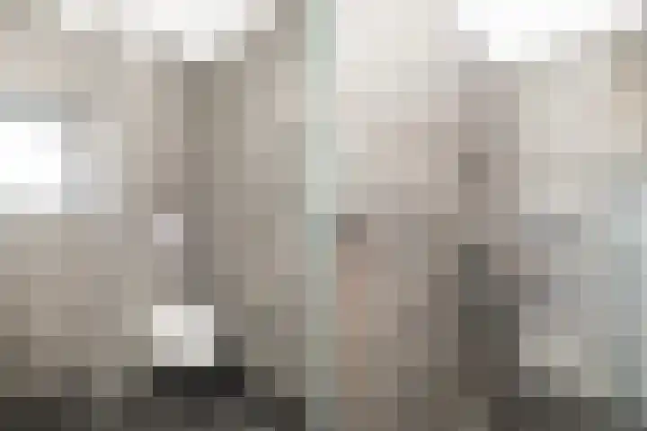 Het Melkmeisje 2 Dronten thumbnail 4
