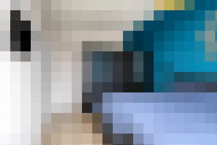 Het Menkveld 34 Warnsveld thumbnail 23