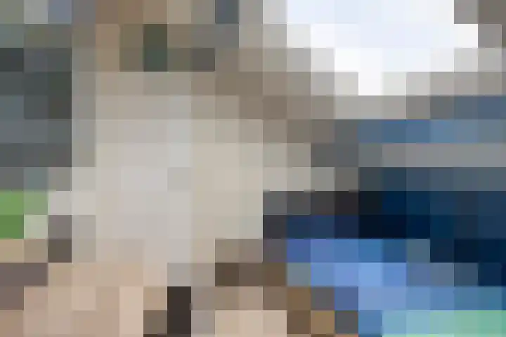 Het Menkveld 34 Warnsveld thumbnail 34