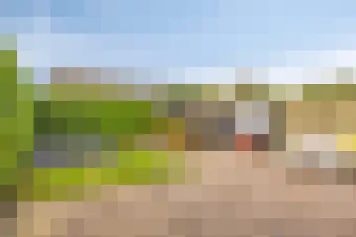 Het Menkveld 34 Warnsveld thumbnail 37