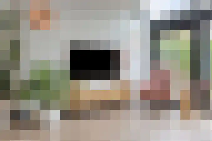 Het Menkveld 34 Warnsveld thumbnail 6