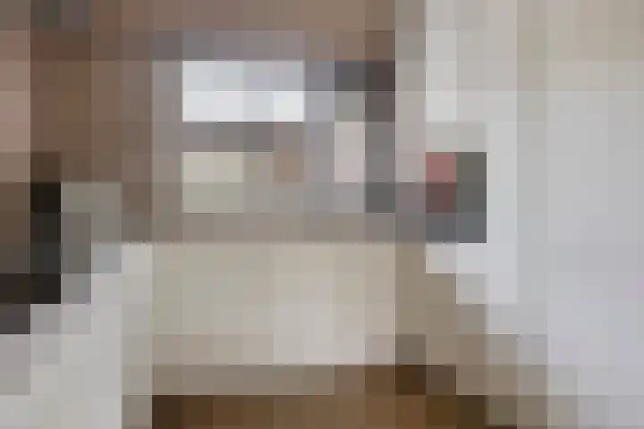 Het Menkveld 36 Warnsveld thumbnail 11