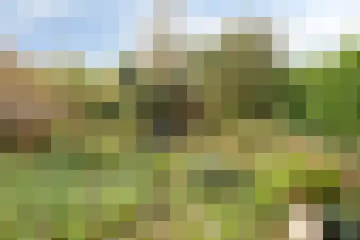 Het Menkveld 36 Warnsveld thumbnail 30